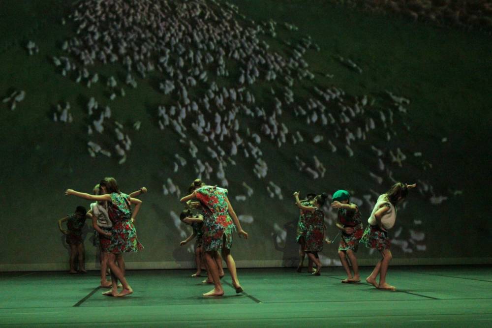 Transhumance 5