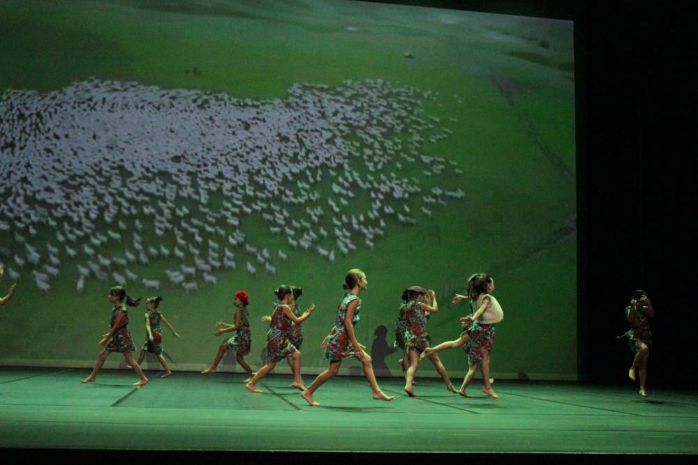 Transhumance 7