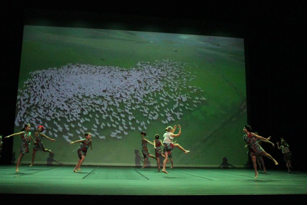 Transhumance 8