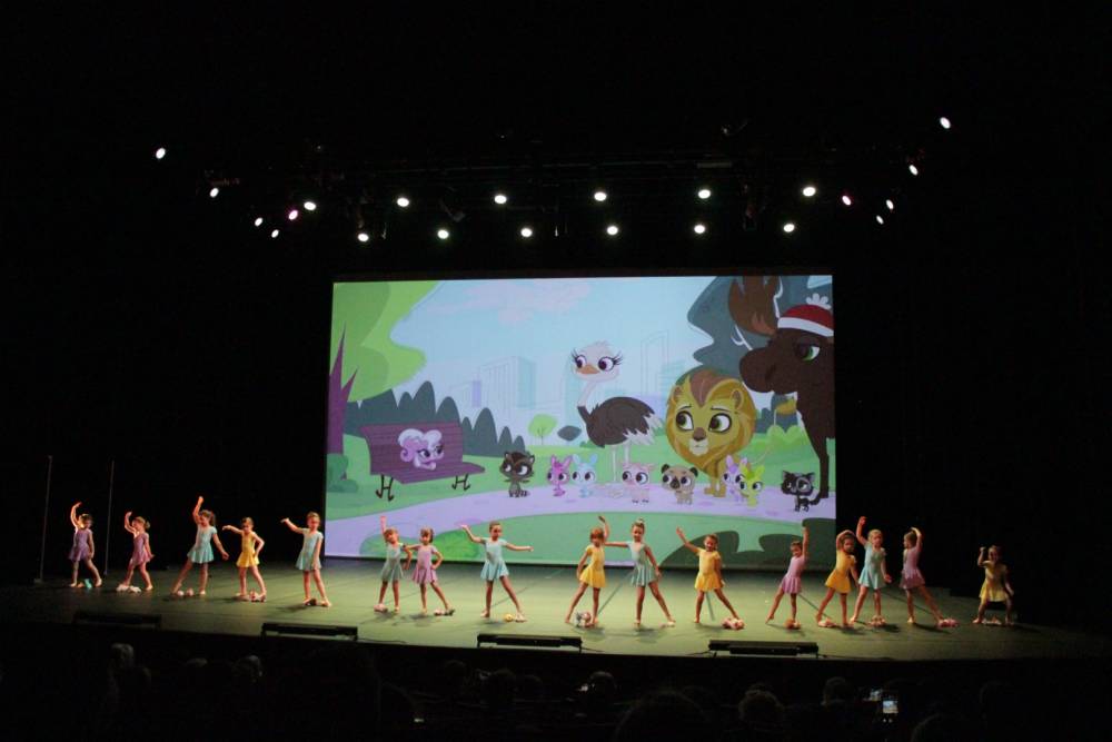 Littlest Petshop 4
