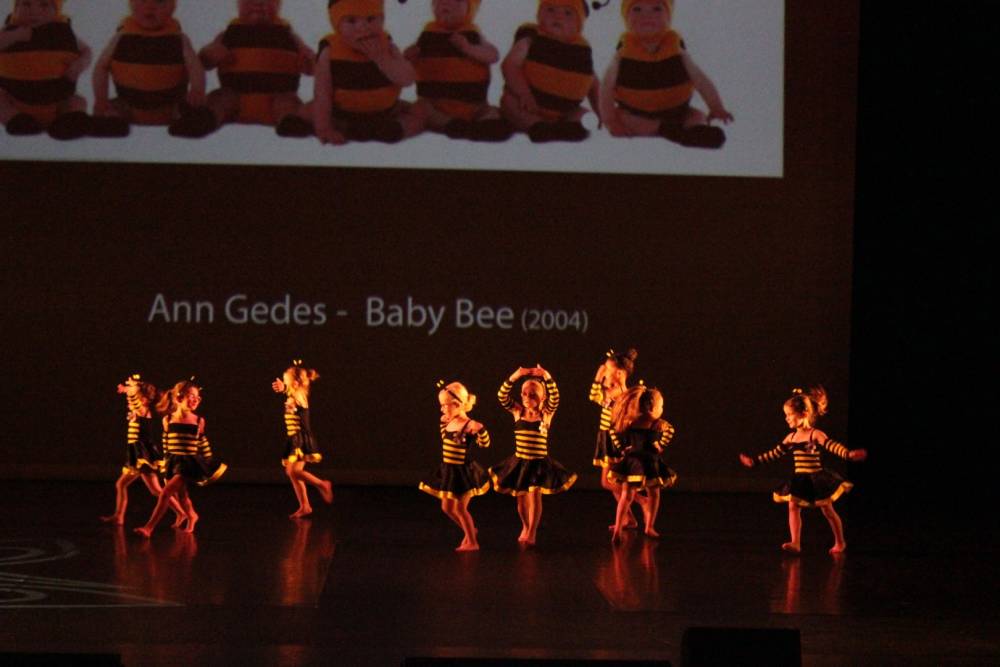 abeilles 2