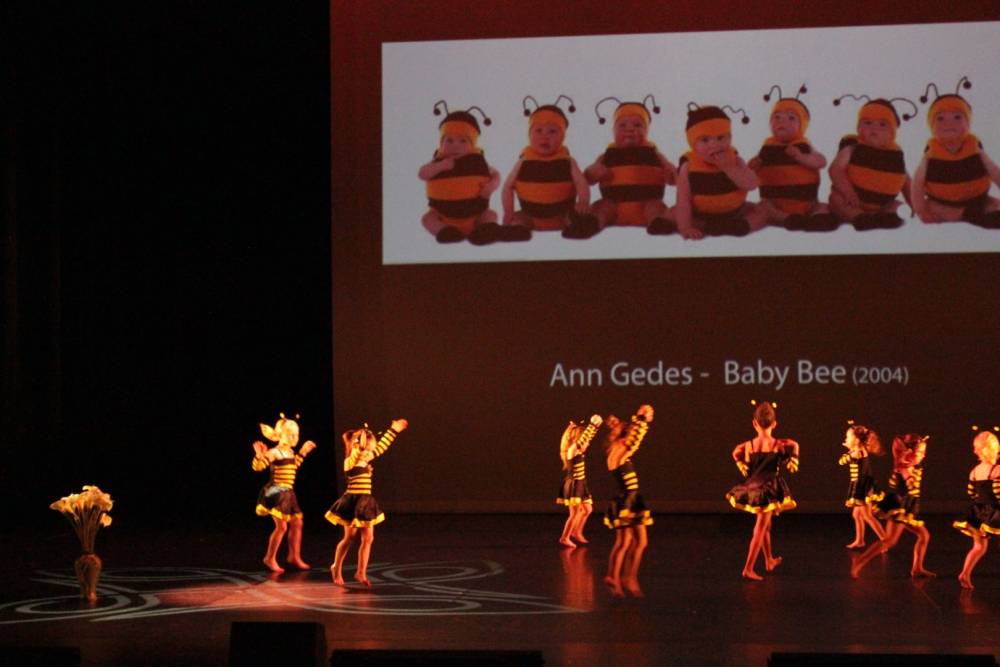 abeilles 3