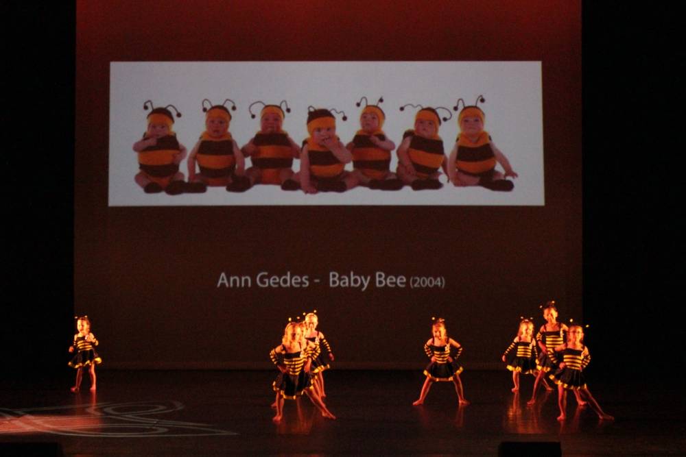 abeilles 4