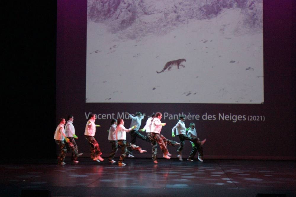 panthere des neiges 6