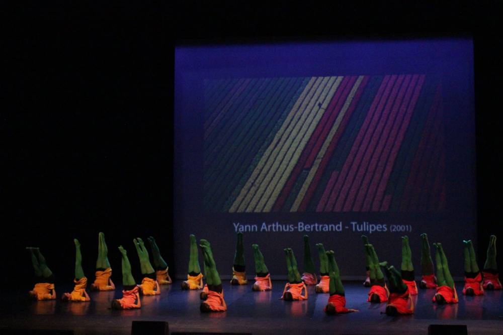 Tulipes 2