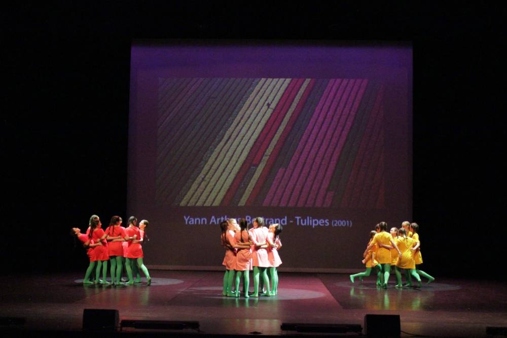 Tulipes 5
