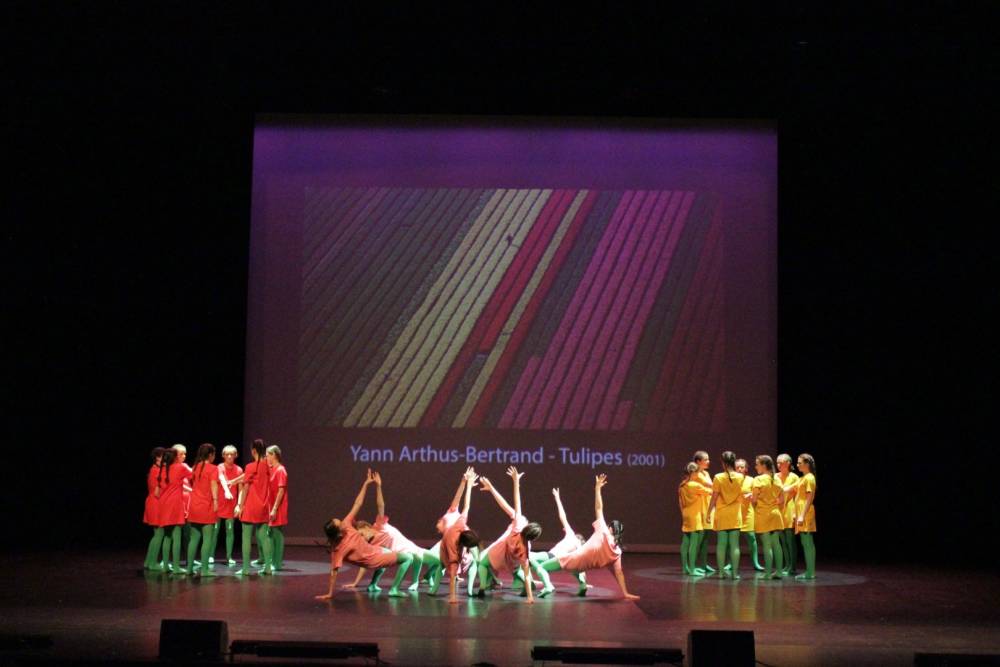 Tulipes 6