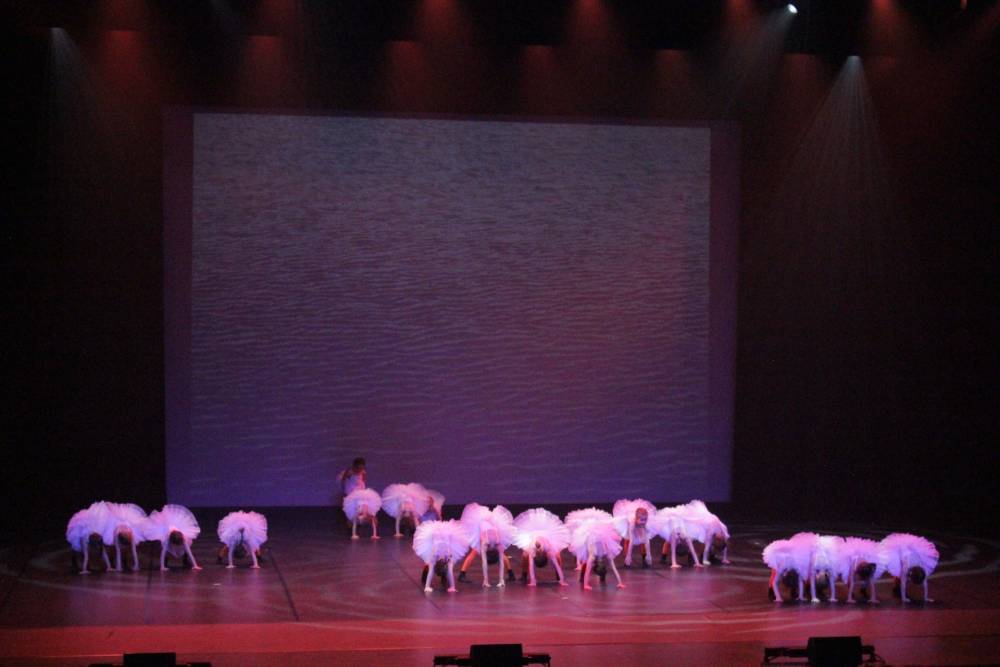 spectalce 2025 (37)